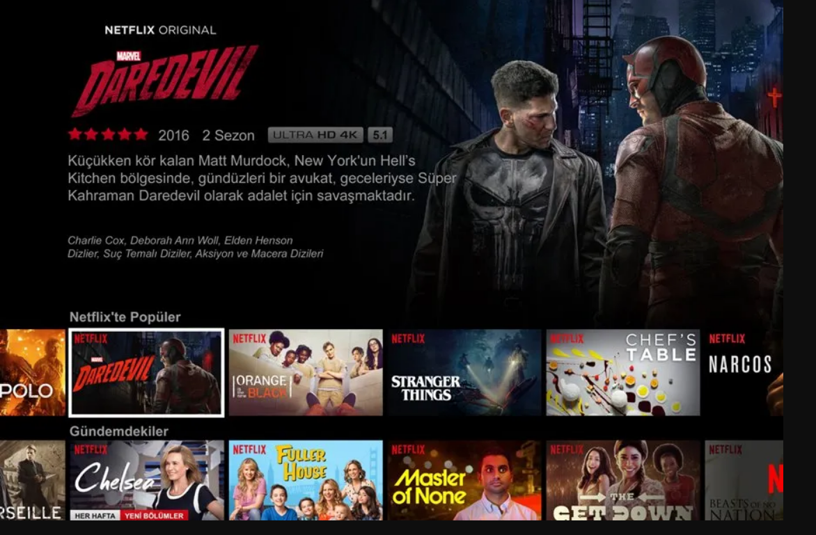 Netflix Arayüzü